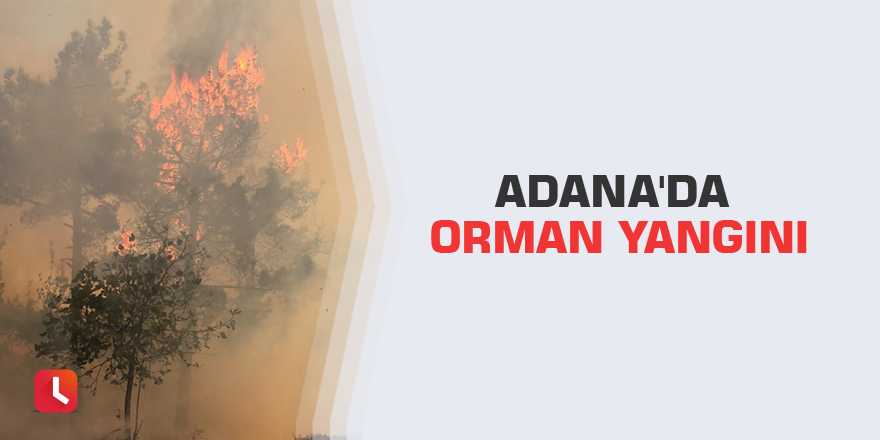 Adana'da orman yangını