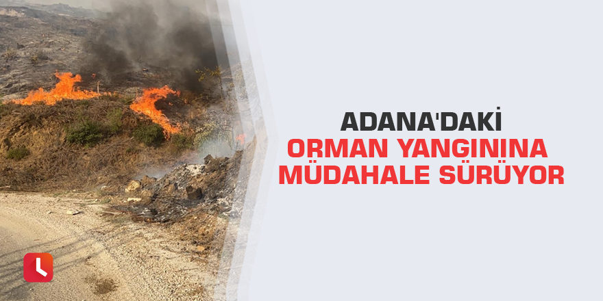 Adana'daki orman yangınına müdahale sürüyor