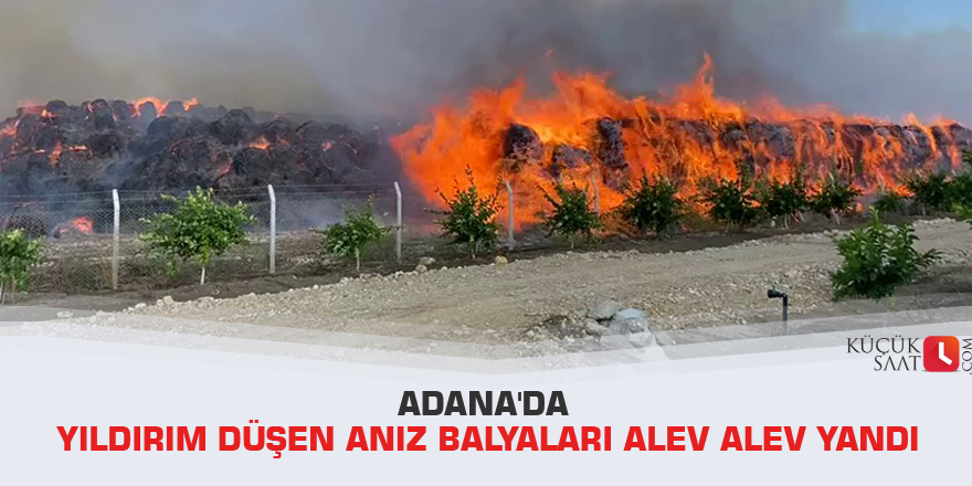 Adana'da yıldırım düşen anız balyaları alev alev yandı