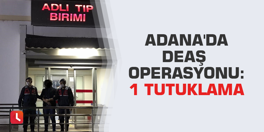 Adana'da DEAŞ operasyonu: 1 tutuklama