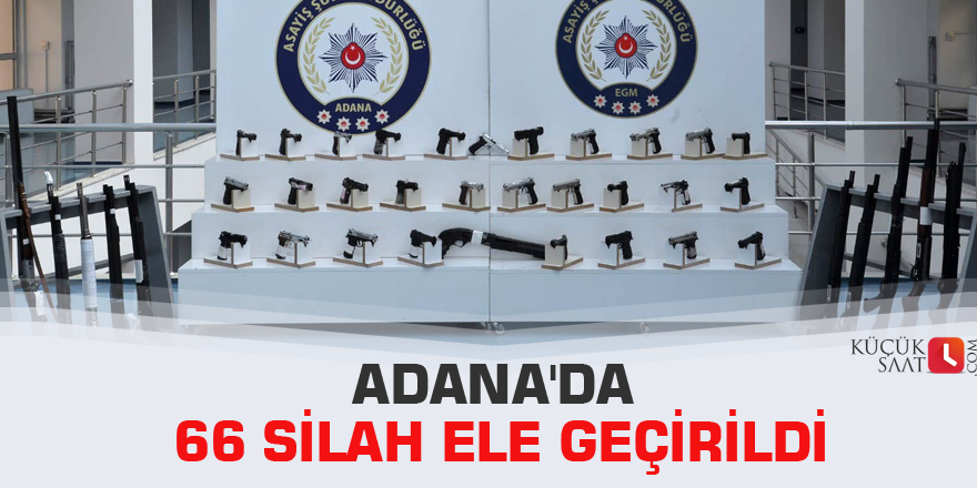 Adana'da 66 silah ele geçirildi
