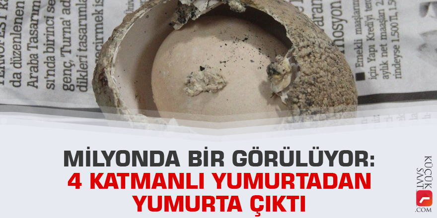 Milyonda bir görülüyor: 4 katmanlı yumurtadan yumurta çıktı