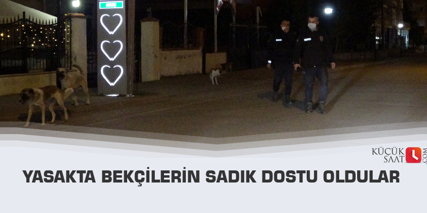 Yasakta bekçilerin sadık dostu oldular
