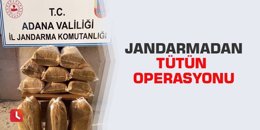 Jandarmadan tütün operasyonu