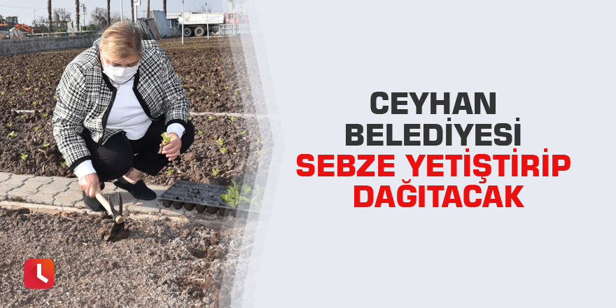 Ceyhan Belediyesi sebze yetiştirip dağıtacak