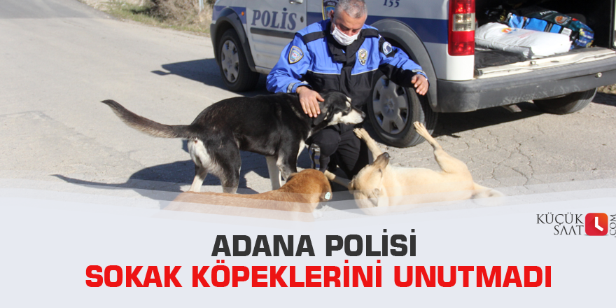 Adana polisi sokak köpeklerini unutmadı
