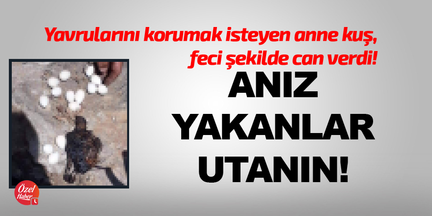 Anız yakanlar utanın!