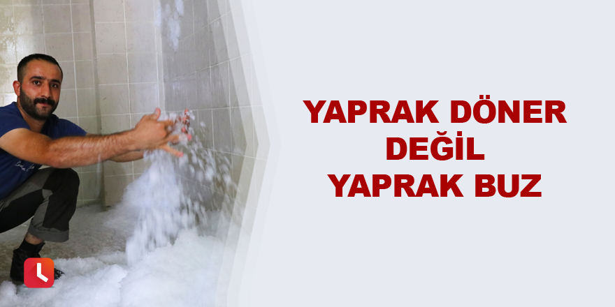 Yaprak döner değil yaprak buz