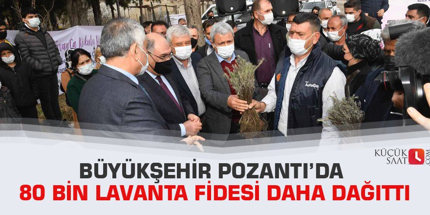 Büyükşehir Pozantı’da 80 bin lavanta fidesi daha dağıttı