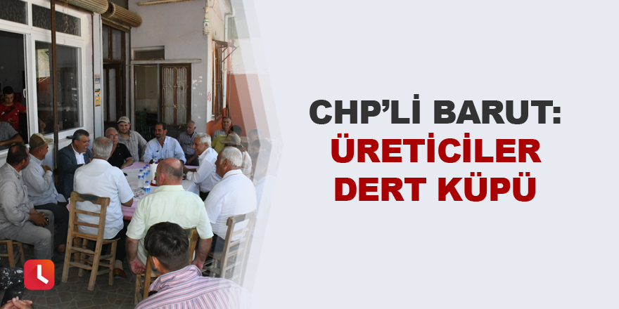 'Üreticiler dert küpü'