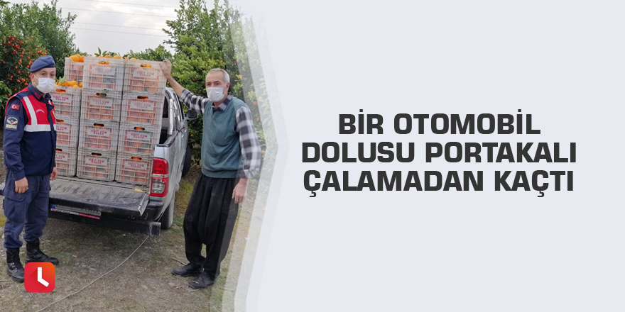 Adana'da bahçeden çalınmak istenen bir otomobil dolusu portakal sahibine teslim edildi.