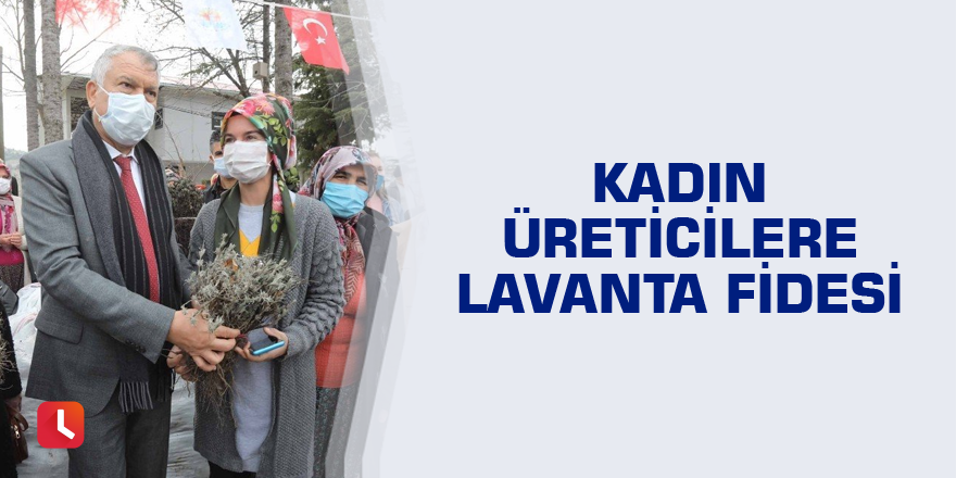 Kadın üreticilere lavanta fidesi