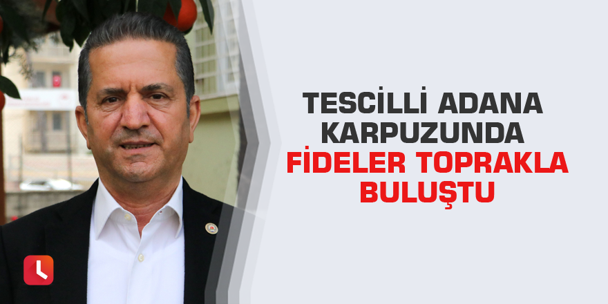 Tescilli Adana karpuzunda fideler toprakla buluştu