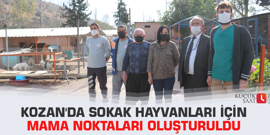 Kozan'da sokak hayvanları için mama noktaları oluşturuldu
