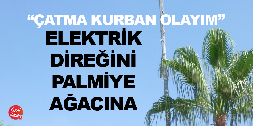 "Çatma kurban olayım"