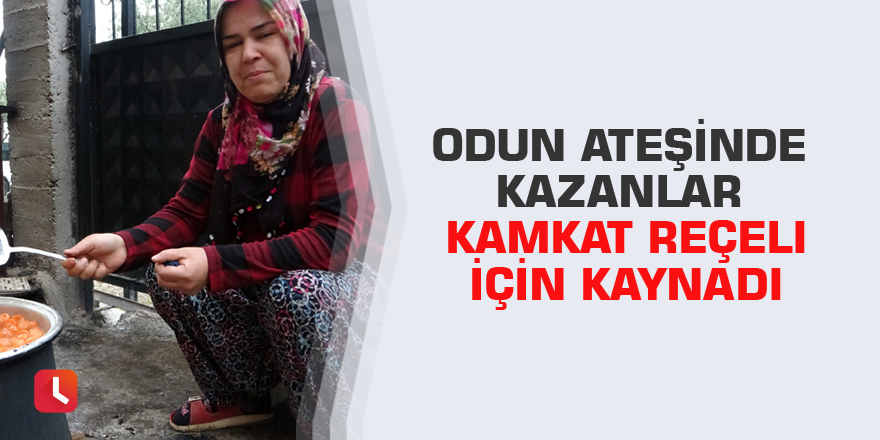 Odun ateşinde kazanlar kamkat reçeli için kaynadı
