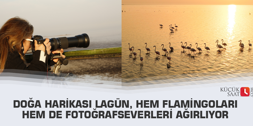 Doğa harikası lagün, hem flamingoları hem de fotoğrafseverleri ağırlıyor