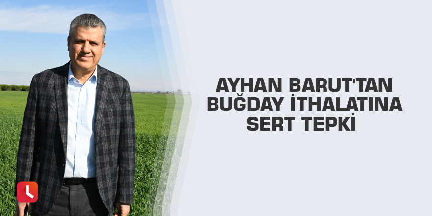 Ayhan Barut'tan buğday ithalatına sert tepki