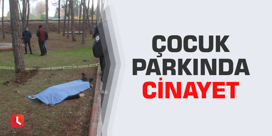 Çocuk parkında cinayet