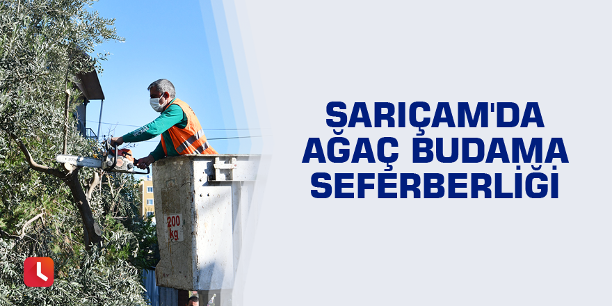 Sarıçam'da ağaç budama seferberliği