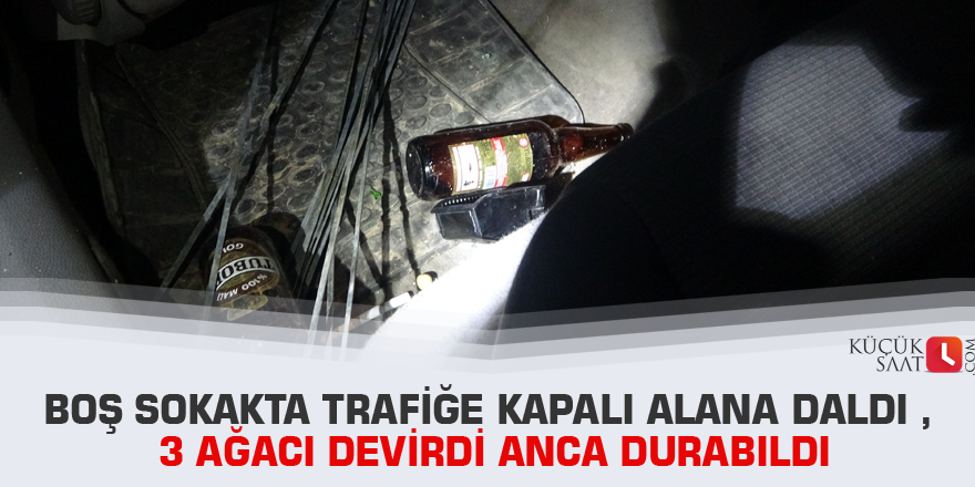 Boş sokakta trafiğe kapalı alana daldı , 3 ağacı devirdi anca durabildi