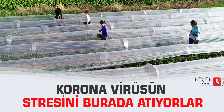 Korona virüsün stresini burada atıyorlar
