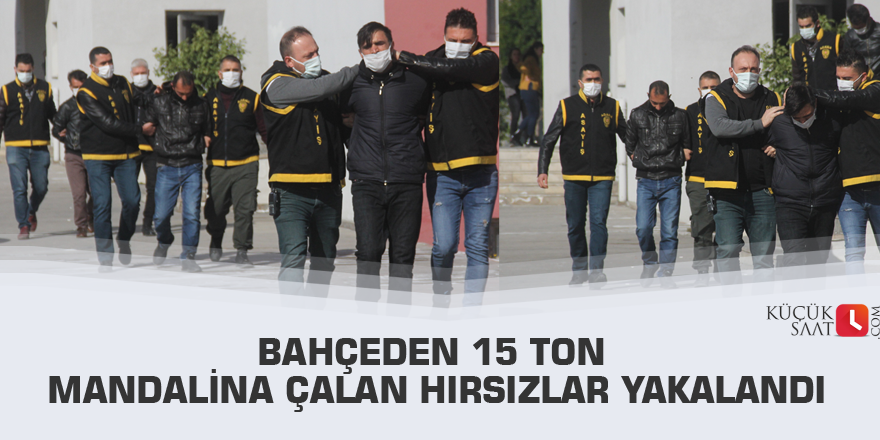 Bahçeden 15 ton mandalina çalan hırsızlar yakalandı