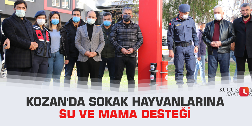 Kozan'da sokak hayvanlarına su ve mama desteği