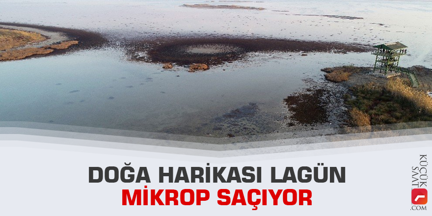 Doğa harikası lagün mikrop saçıyor