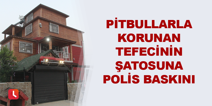 Pitbullarla korunan tefecinin şatosuna polis baskını