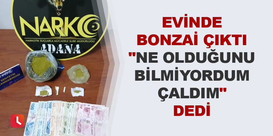 Evinde bonzai çıktı "Ne olduğunu bilmiyordum çaldım" dedi