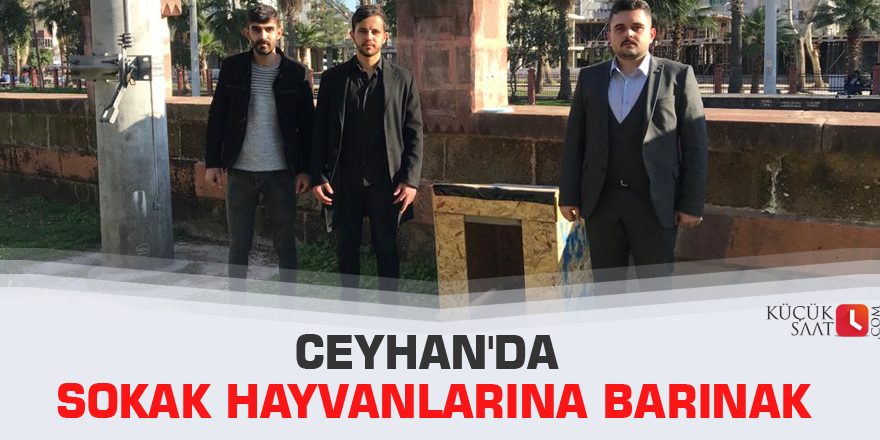 Ceyhan'da sokak hayvanlarına barınak