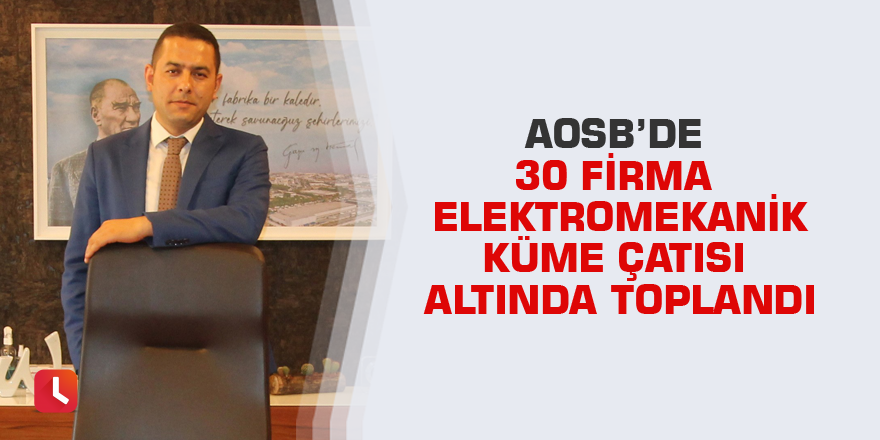AOSB’de 30 firma elektromekanik küme çatısı altında toplandı