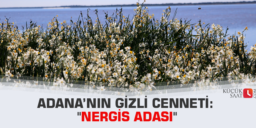 Adana’nın gizli cenneti: "Nergis Adası"