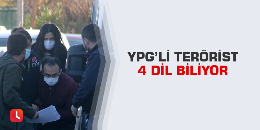 YPG’li terörist 4 dil biliyor