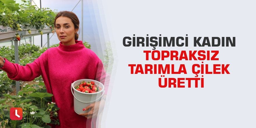 Girişimci kadın topraksız tarımla çilek üretti