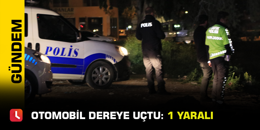 Otomobil dereye uçtu: 1 yaralı