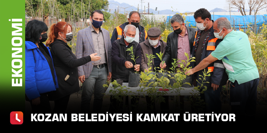 Kozan Belediyesi kamkat üretiyor