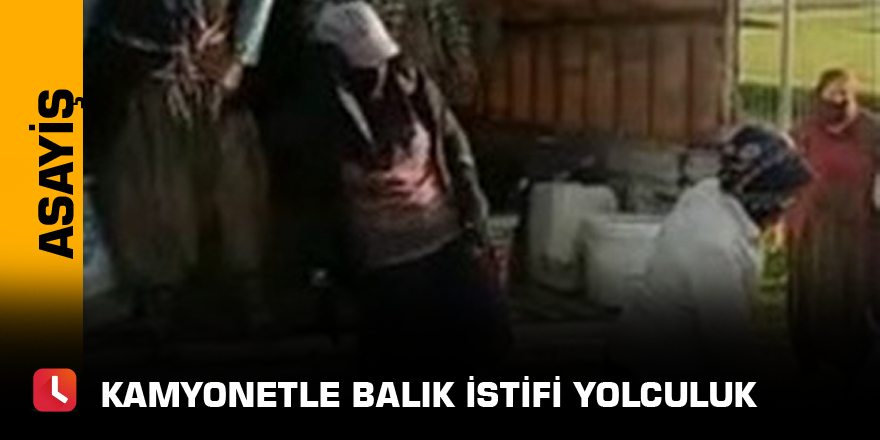 Kamyonetle balık istifi yolculuk