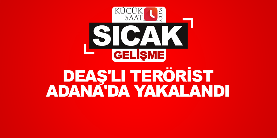 DEAŞ'lı terörist Adana'da yakalandı