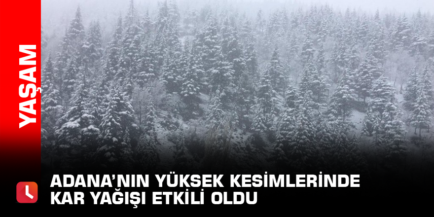 Adana’nın yüksek kesimlerinde kar yağışı etkili oldu