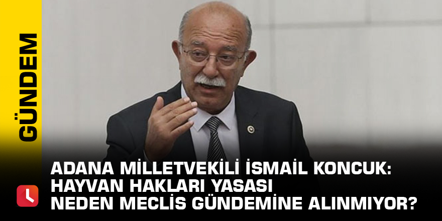 Adana Milletvekili İsmail Koncuk: Hayvan Hakları Yasası Neden Meclis Gündemine Alınmıyor?