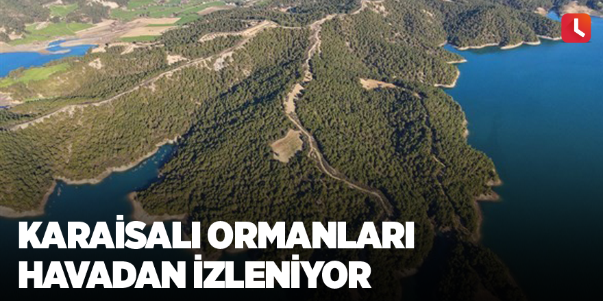 Karaisalı ormanları havadan izleniyor