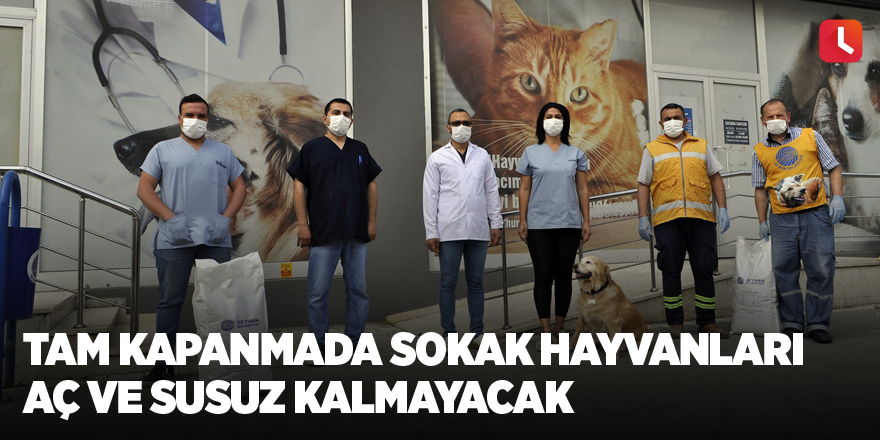 Tam kapanmada sokak hayvanları aç ve susuz kalmayacak