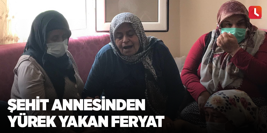 Şehit annesinden yürek yakan feryat