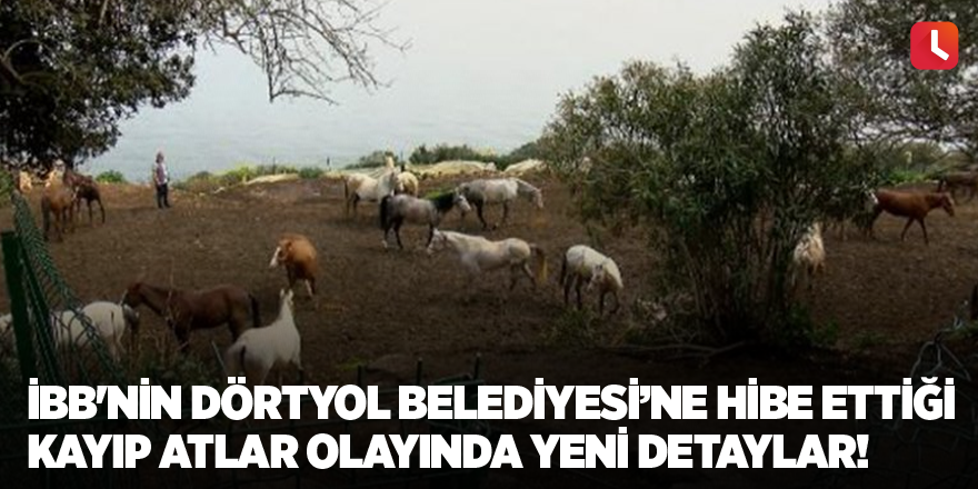 İBB'nin Dörtyol Belediyesi’ne hibe ettiği kayıp atlar olayında yeni detaylar!
