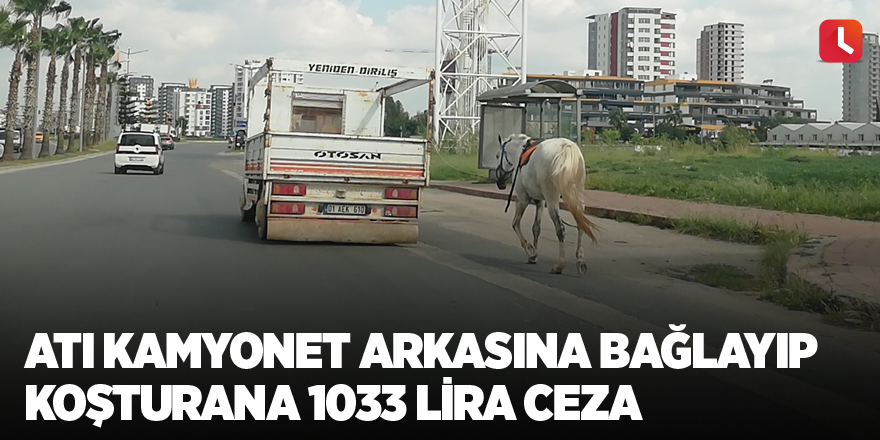 Atı kamyonet arkasına bağlayıp koşturana 1033 lira ceza
