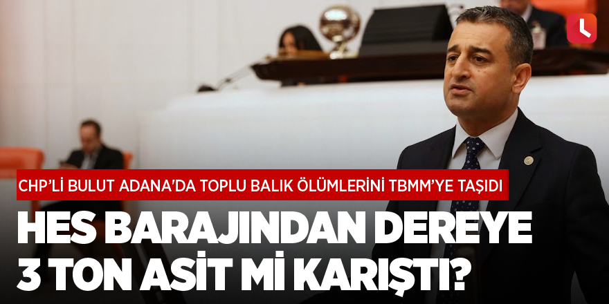 Bulut: HES barajından dereye 3 ton asit mi karıştı?