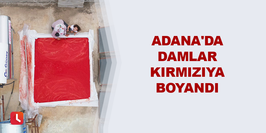 Adana'da damlar kırmızıya boyandı