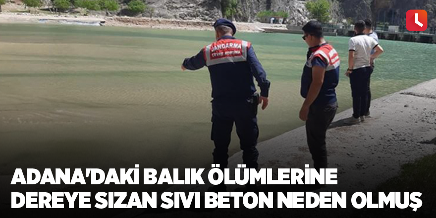 Adana'daki balık ölümlerine dereye sızan sıvı beton neden olmuş